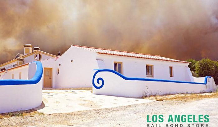 Wildfire tips