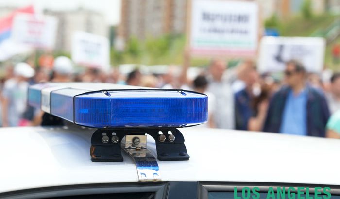What are protesters rights