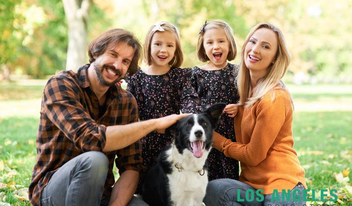 pet laws